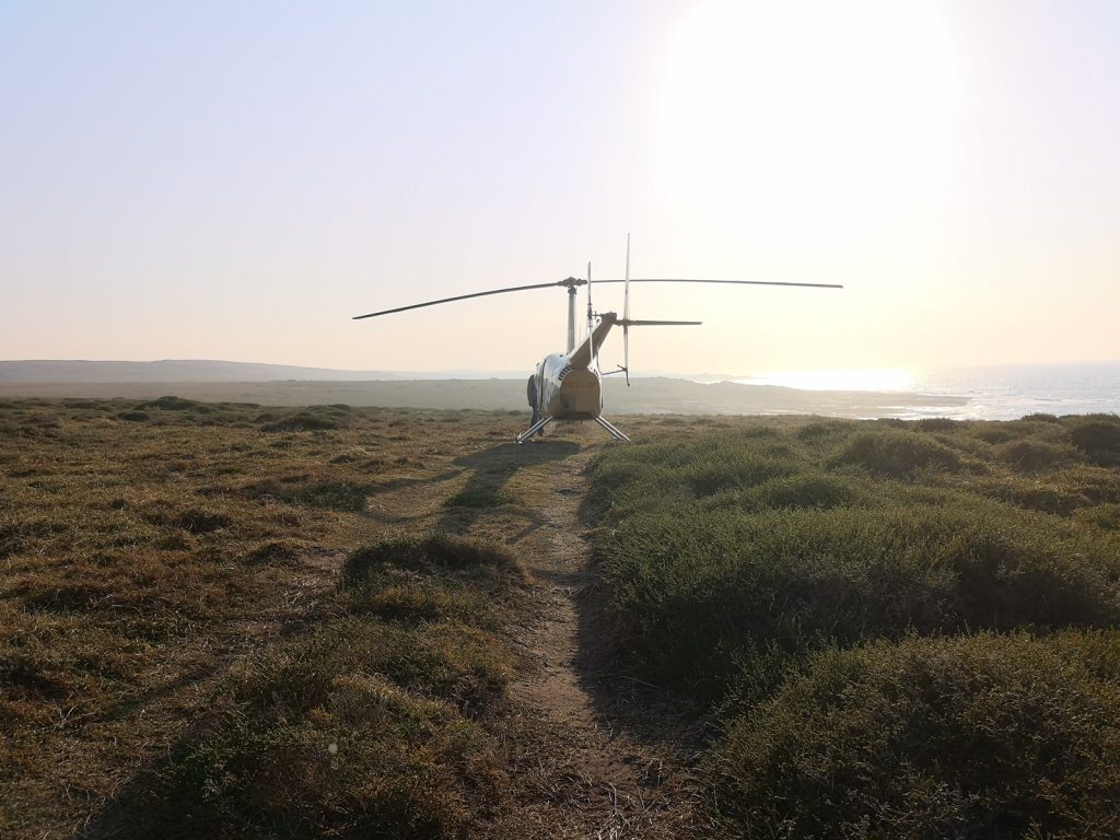 helicopter-flips-and-charters